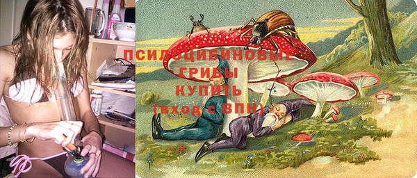 spice Алзамай