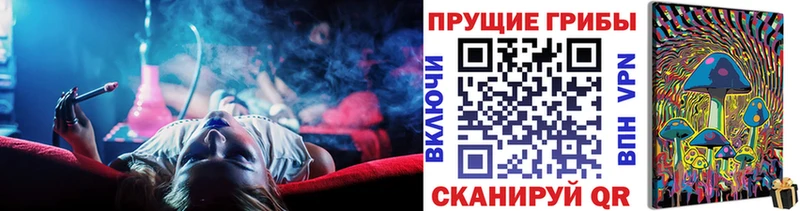 Галлюциногенные грибы Psilocybe  магазин    darknet Telegram  Зерноград 