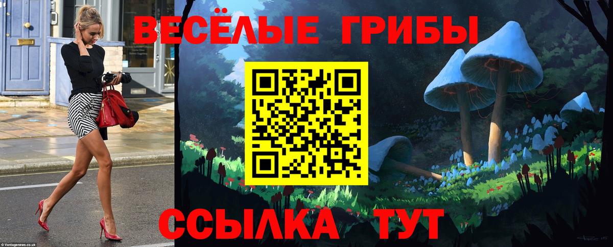 Галлюциногенные грибы GOLDEN TEACHER Зерноград