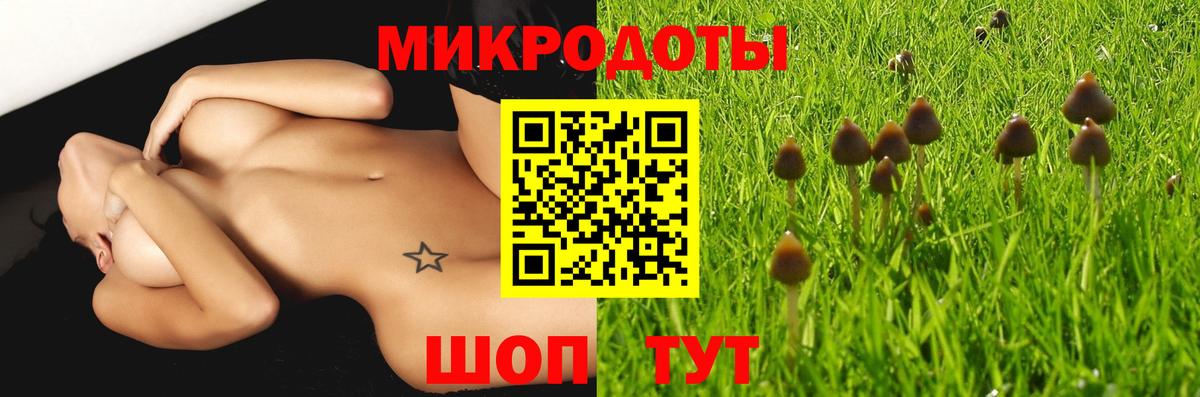Псилоцибиновые грибы GOLDEN TEACHER  Вход с VPN  купить наркотик  Зерноград  Галлюциногенные грибы Psilocybine cubensis 